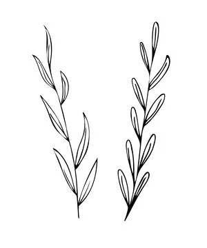 Botanical linear leaf set. Abstract minimalist leaves collection, creative he イラスト素材