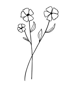 Botanical linear leaf set. Abstract minimalist leaves collection, creative he Stock Illustration