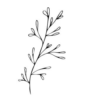 Botanical linear leaf set. Abstract minimalist leaves collection, creative he Stock Illustration