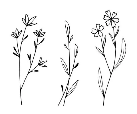 Botanical linear leaf set. Abstract minimalist leaves collection, creative he Stock Illustration