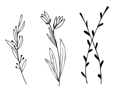 Botanical linear leaf set. Abstract minimalist leaves collection, creative he Stock Illustration