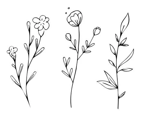 Botanical linear leaf set. Abstract minimalist leaves collection, creative he Stock Illustration