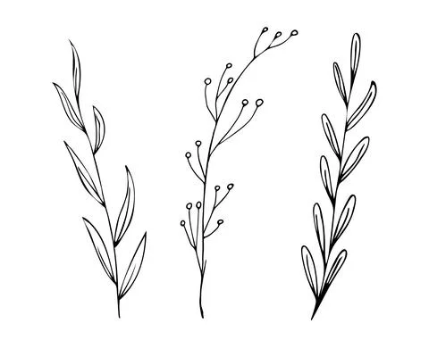 Botanical linear leaf set. Abstract minimalist leaves collection, creative he Stock Illustration