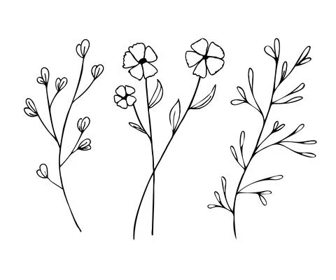 Botanical linear leaf set. Abstract minimalist leaves collection, creative he 스톡 일러스트