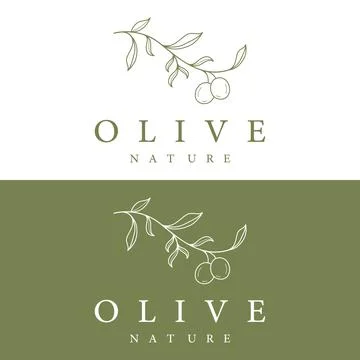 Botanical logo template Hand drawn natural olive leaf and fruit .Herbal, ol.. Stock Illustration
