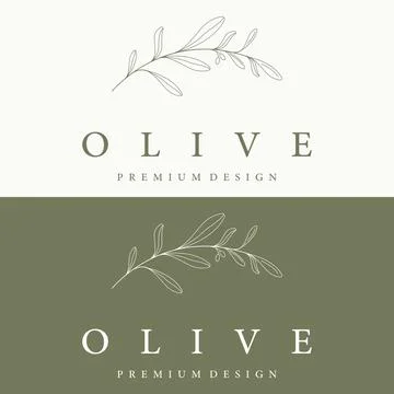 Botanical logo template Hand drawn natural olive leaf and fruit .Herbal, ol.. Stock Illustration