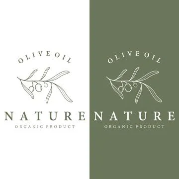 Botanical logo template Hand drawn natural olive leaf and fruit .Herbal, ol.. Stock Illustration