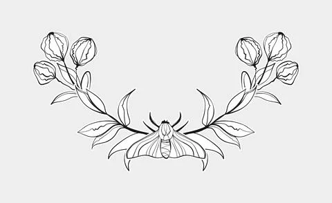 Botanical Moth Banner Divider Line Art Stock Illustration
