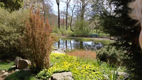 Botanical park with pond springtime Vídeos de archivo 332482315