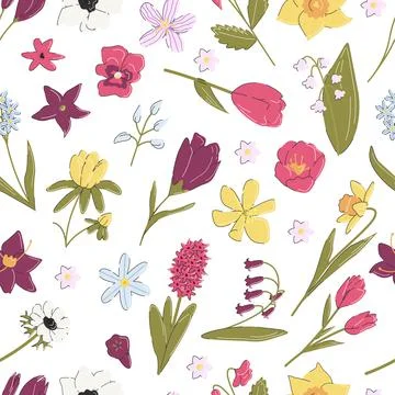 Botanical pattern isolated on white background. Floral retro square seamless. イラスト素材