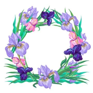 Botanical pink and violet iris wreath vector Stock Illustration