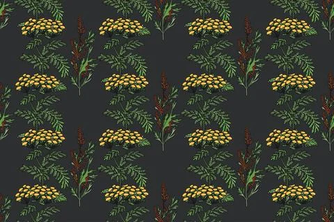 Botanical plant seamless pattern with flowers and berries vector illustrati.. Stock Illustration