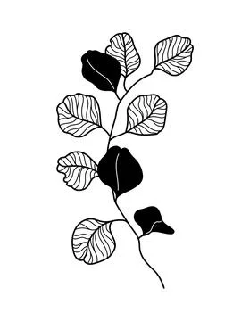 Botanical poster with eucalyptus branch Wall decoration interior wallpaper 스톡 일러스트