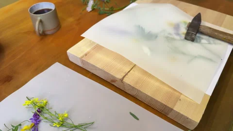 Botanical printmaking process – wildflowers under parchment, hammer ready to pre Stock Footage 311752585