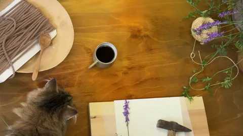 Botanical printmaking process – wildflowers under parchment, hammer ready to pre 스톡 동영상 311754020