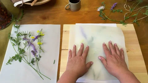Botanical printmaking process – wildflowers under parchment, hammer ready to pre 스톡 동영상 311754256