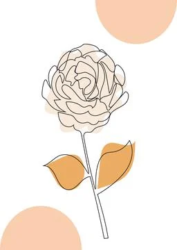 Botanical prints boho vector wall art trendy. Bohemian style with line art el Stock Illustration