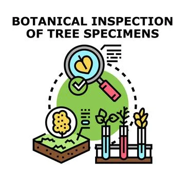 Botanical research analyzing tree and plant specimens Stock Illustration