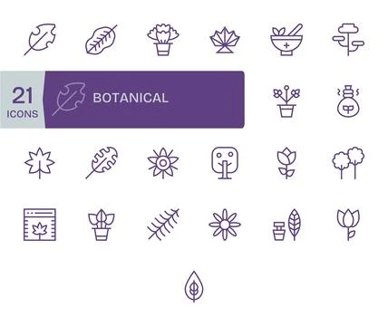 Botanical Scalable Vector Set featuring 25 Pixel Aligned Regular Line 64x64.. Stock Illustration