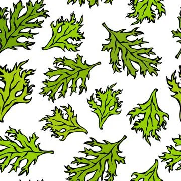 Botanical Seamless Endless Pattern of Green Curley Parsley Leaves. Background Illustrazione stock