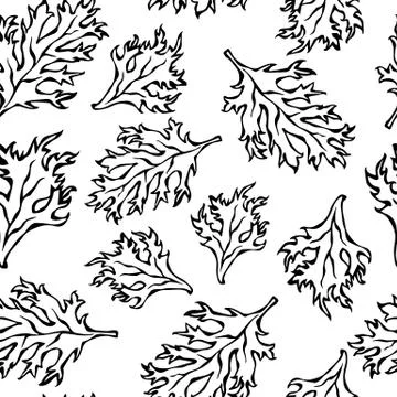Botanical Seamless Endless Pattern of Green Curley Parsley Leaves. Background Illustrazione stock
