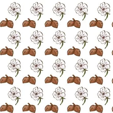 Botanical seamless pattern with baobab flower Stock Illustration