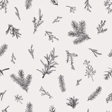 Botanical seamless pattern with evergreens. Stock Illustration