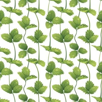 Botanical seamless pattern with green strawberry leaves and stems. Wild straw 스톡 일러스트
