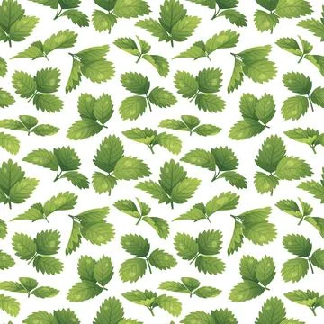 Botanical seamless pattern with green strawberry leaves. Wild berry foliage.. Stock Illustration