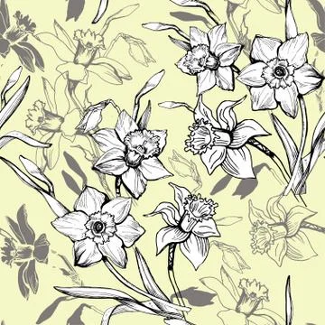 Botanical seamless pattern with hand drawn flowers daffodils, narcissus on light Stock Illustration
