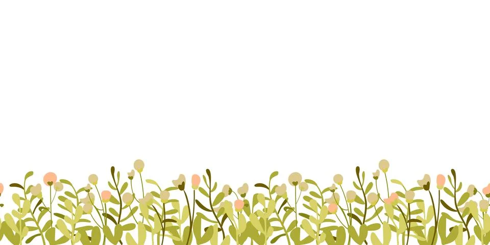 Botanical seamless pattern hand drawn. White background with plant border 스톡 일러스트