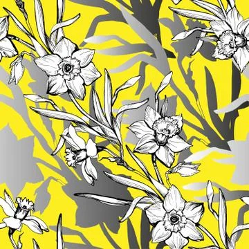 Botanical seamless pattern with hand drawn  flowers daffodils,narcissus Stock Photos