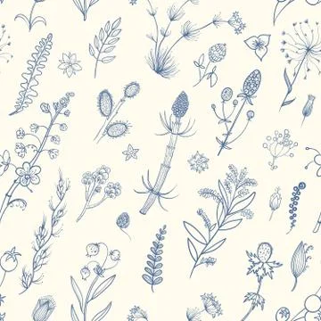 Botanical seamless pattern Stock Illustration
