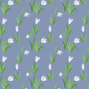 Botanical seamless pattern of snowdrops on blue bacground Stock Illustration