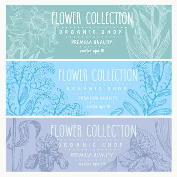 Botanical set of three flower banners. Hand drawn narcissus, iris, forget me not Stock Illustration