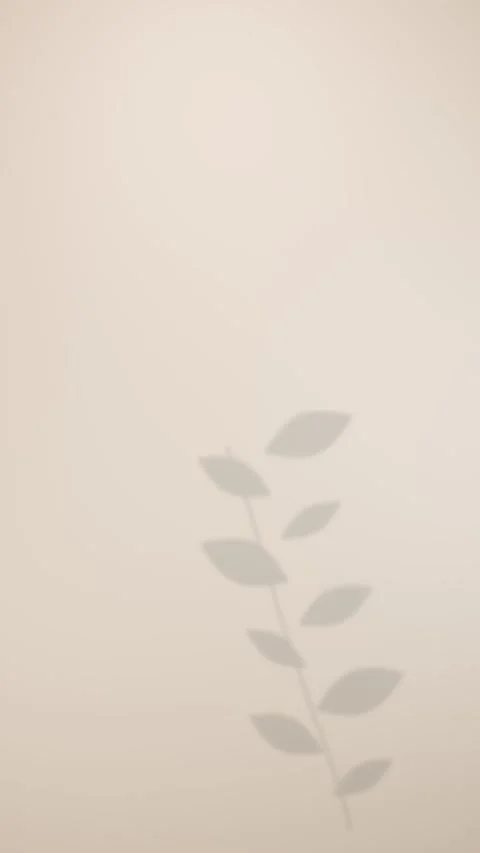 Botanical shadows drift across a warm vertical plaster wall Stock Footage 346168461