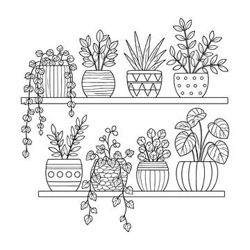 Botanical Shelf Hand Embroidery Pattern, Modern Plant Hoop Art DIY Illustrazione stock