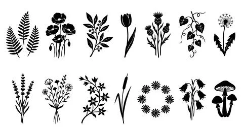 Botanical silhouette collection Stock Illustration