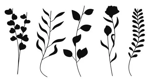 Botanical silhouette elements collection including different types of leave.. Stock Illustration