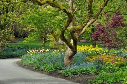 Botanical spring garden Stock Photos