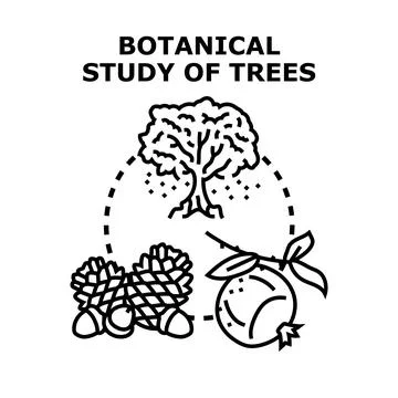 Botanical study of nature and tree elements Stock Illustration