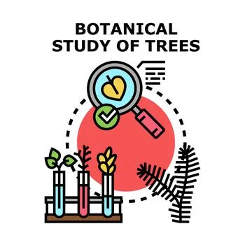 Botanical study of trees vector concept illustration Stock Illustration
