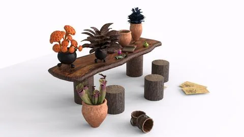 Botanical table of wizard school with white background Stock Illustration