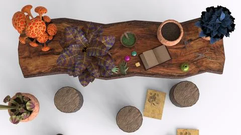 Botanical table of wizard school with white background Stock Illustration