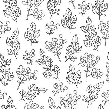 Botanical vector seamless pattern with plants and flowers. Outline illustrati 스톡 일러스트