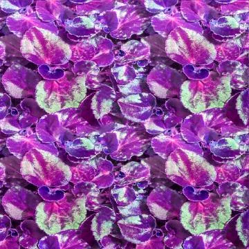 Botanical Violet Motif Pattern 스톡 사진