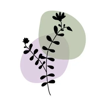 Botanical wall art vector Stock Illustration