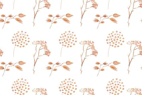 Botanical watercolor fields plants pattern Stock-Illustration
