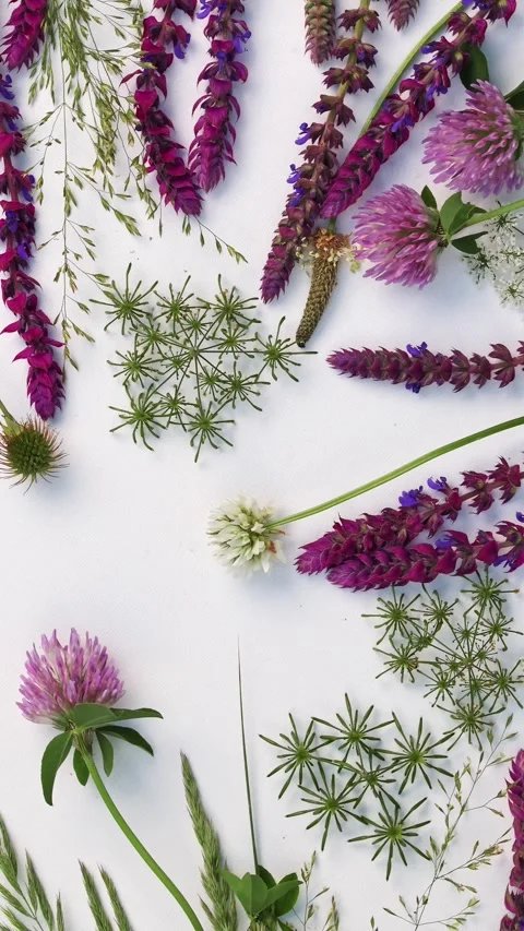 Botanical Wildflower Flat Lay Vertical Video 스톡 동영상 345086934