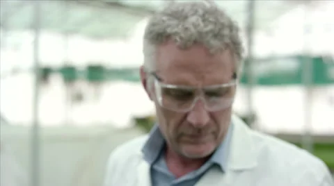 Botanist analysing leaf at greenhouse. Stock Footage 64026077